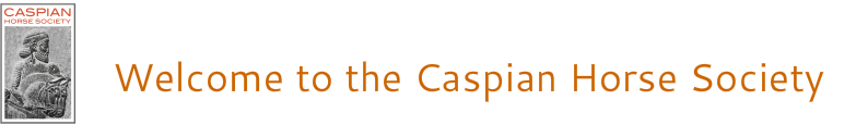 www.caspianhorsesociety.org.uk